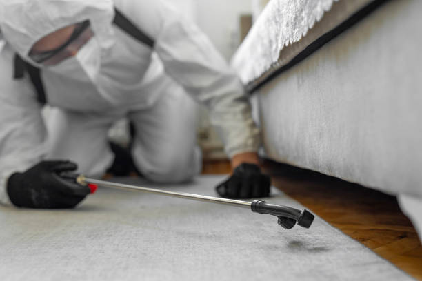 Professional Bed Bug Control technician working in Custer County County, MT